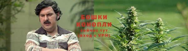 МДПВ Белокуриха
