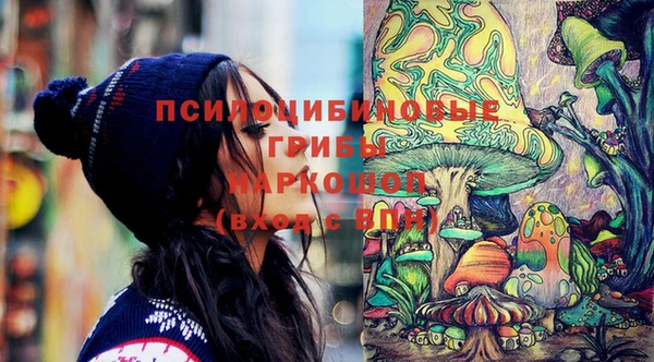 МДПВ Белокуриха