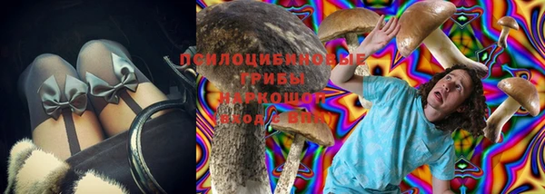 МДПВ Белокуриха