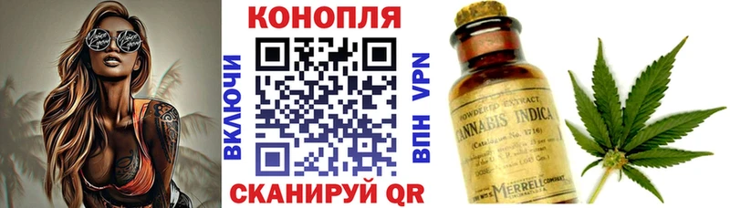 Канабис планчик  магазин    Буйнакск 